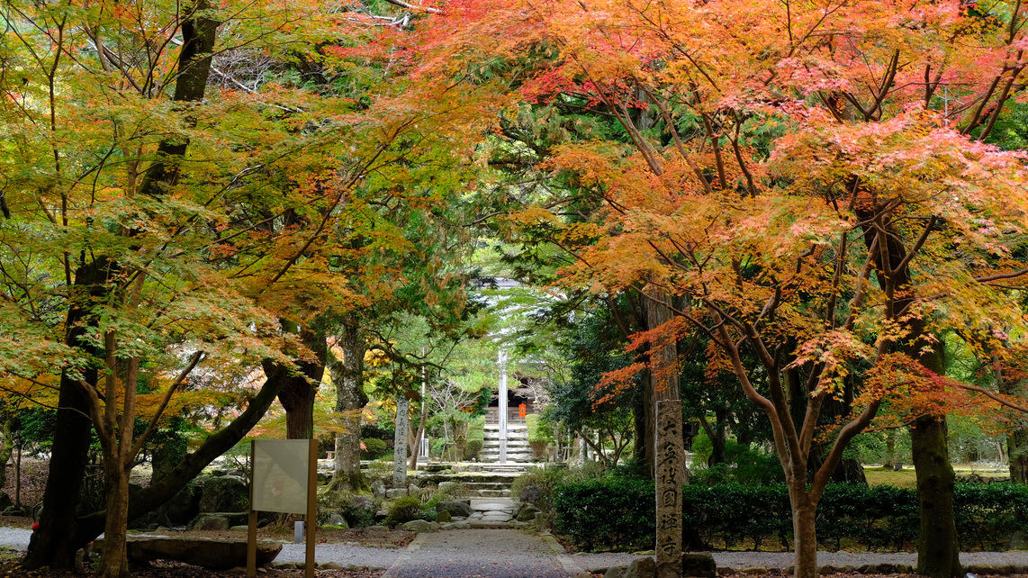 秋の大寧寺