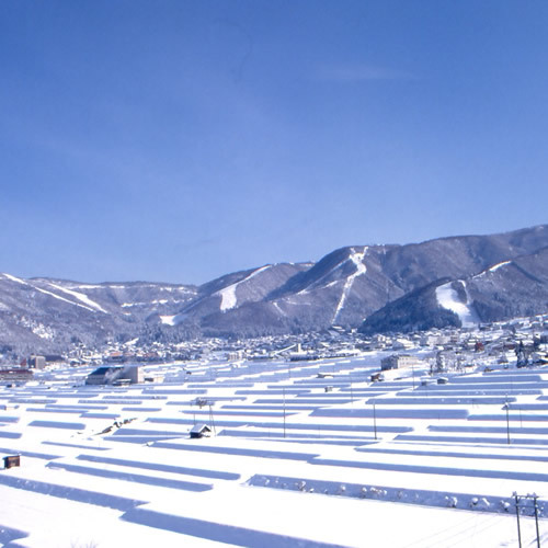昔も今もやっぱり天然雪１００％野沢温泉スキー場