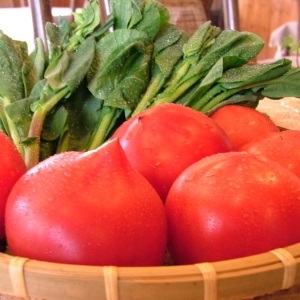 【トマト】＊新鮮野菜