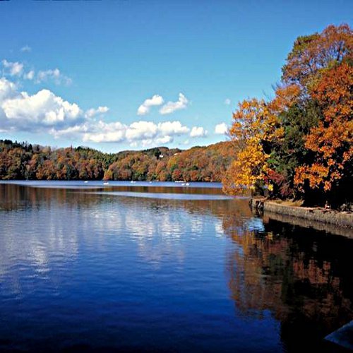 秋の一碧湖