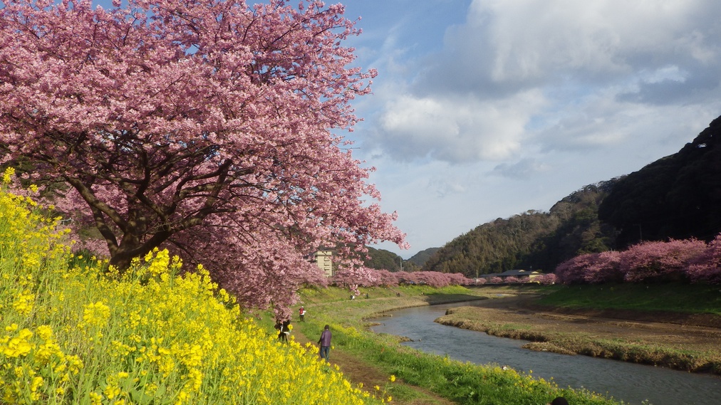2月〜3月みなみの桜と菜の花まつり
