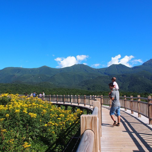 【観光】知床五湖の高架木道は無料で歩けます。