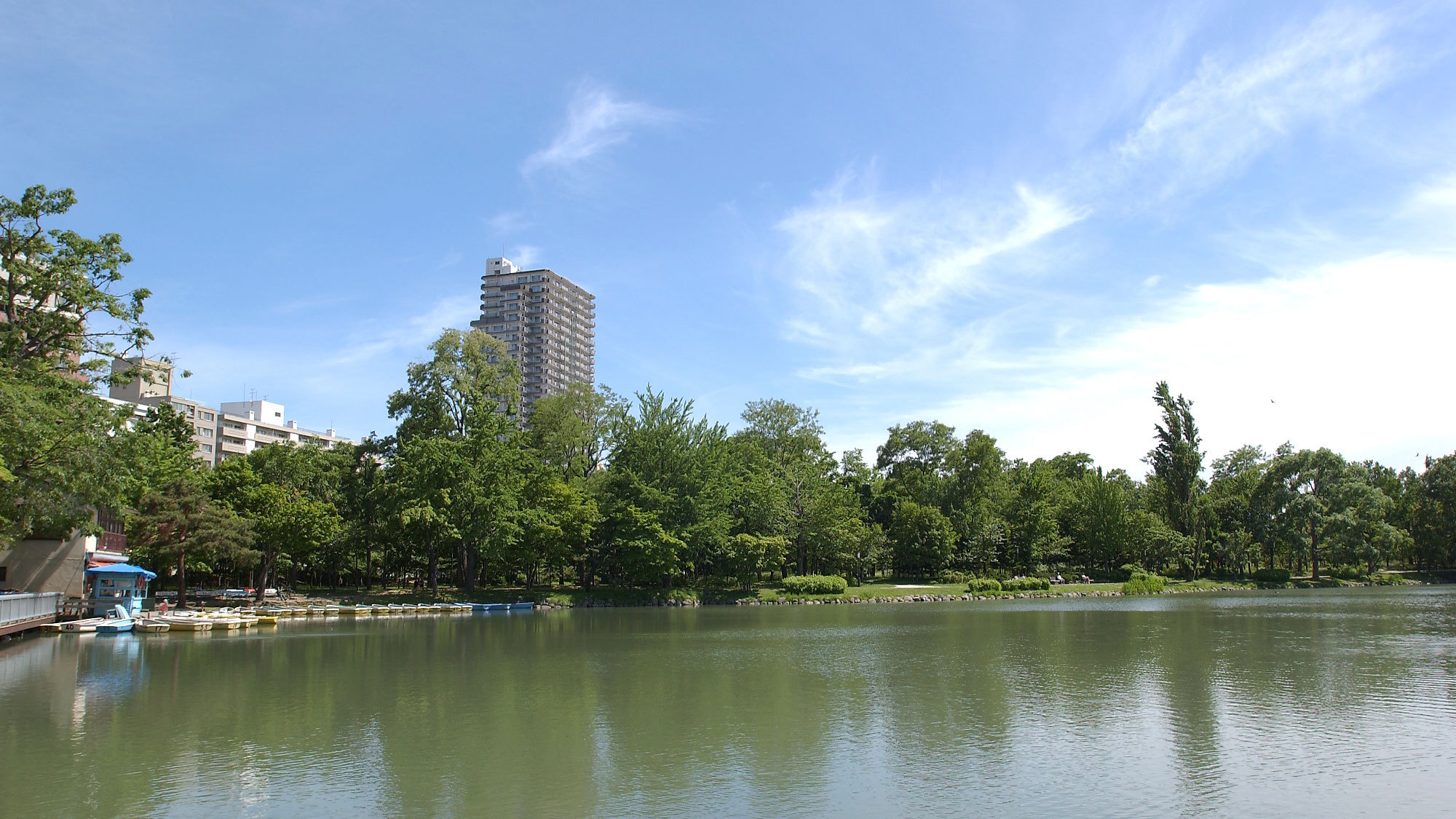 中島公園澄んだ青い空！お散歩にぴったりです。
