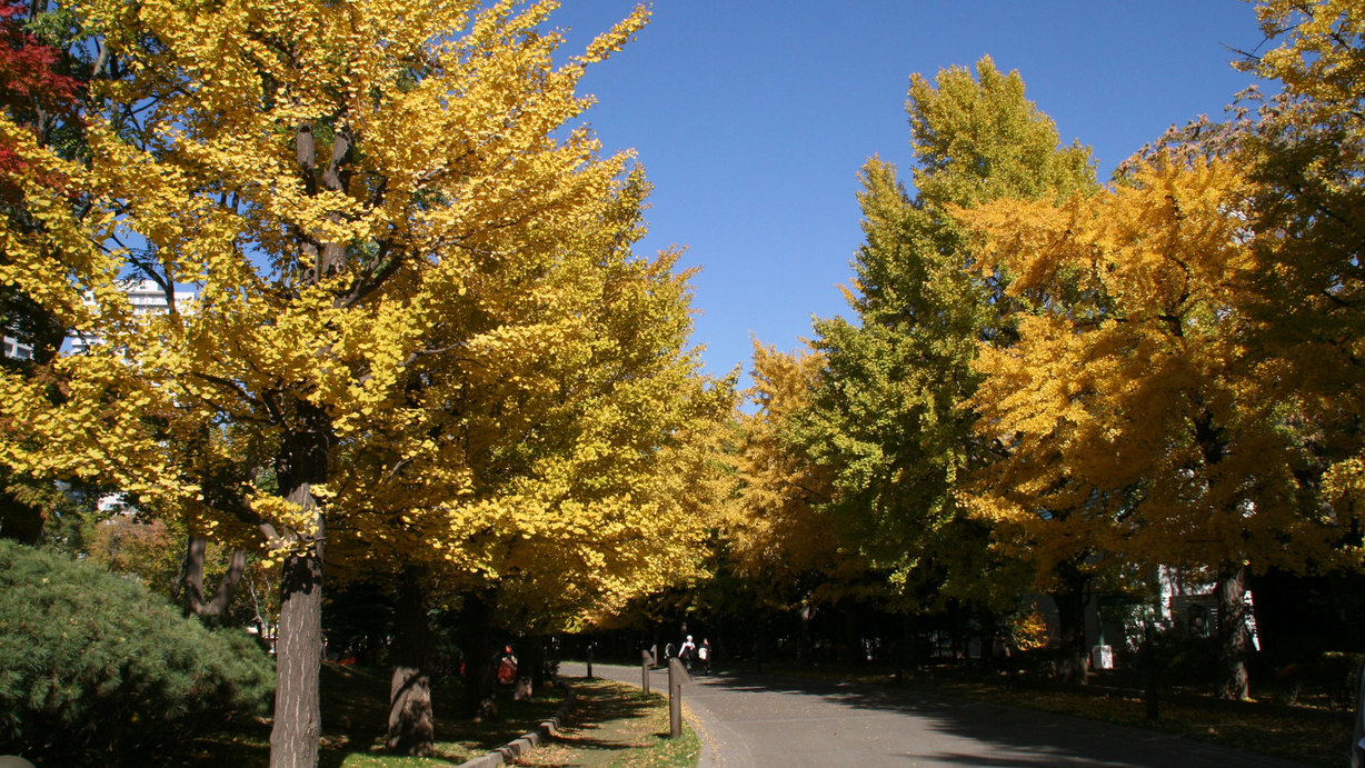 秋の中島公園