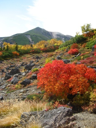 山頂紅葉