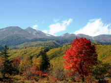 一之瀬大カエデ