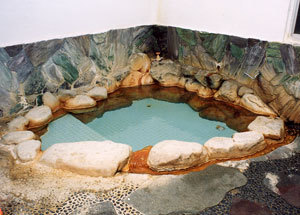 This photo about Shirahama Onsen National Lodging Hotel Shirahama shared on HyHotel.com