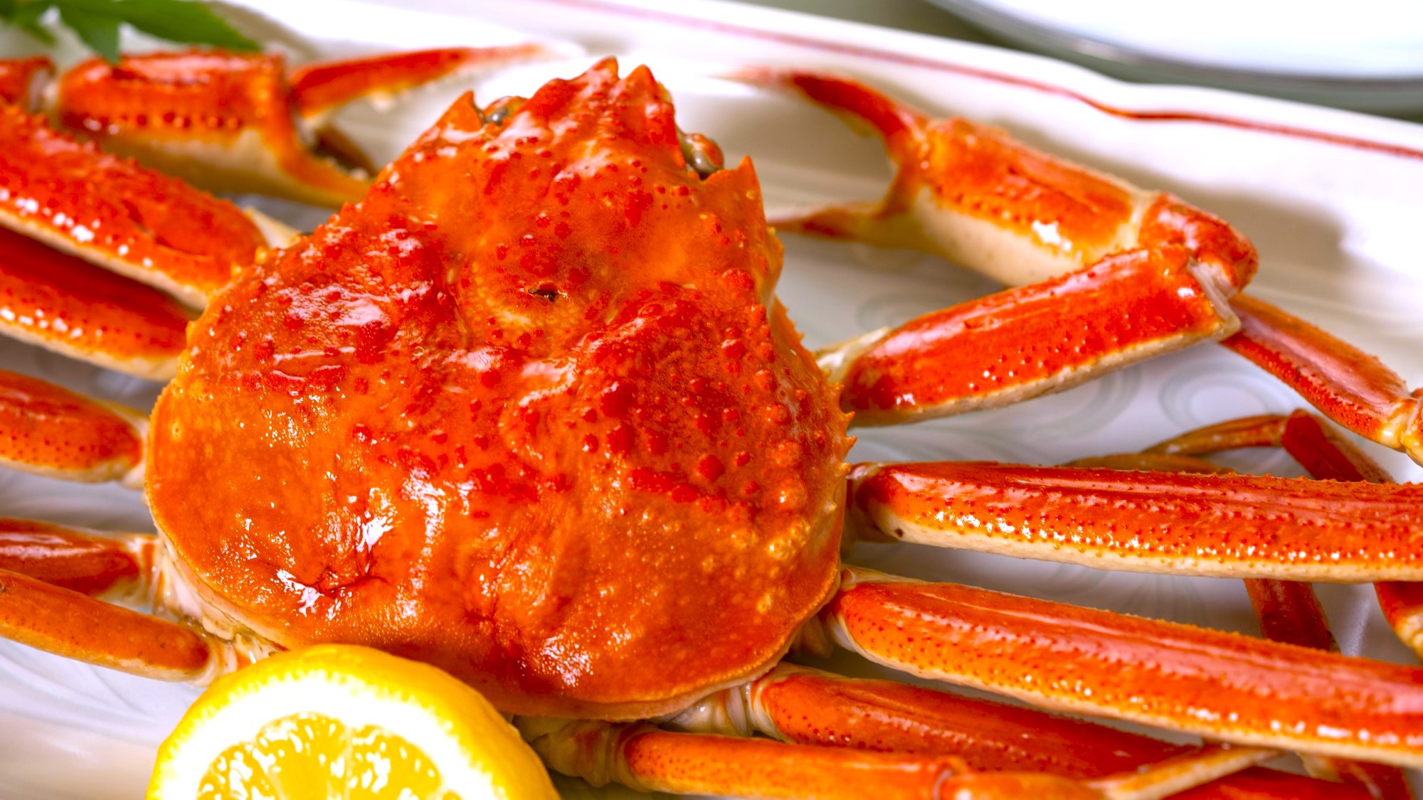 【食事処】冬の味覚を贅沢に味わう♪姿ズワイ蟹1杯と蟹鍋と〆の雑炊で大満足♪