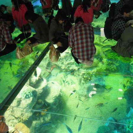 【越前松島水族館】