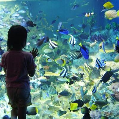 【越前松島水族館】