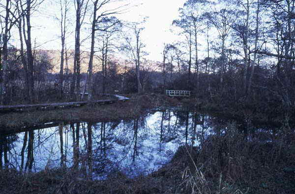 菅平湿原の池