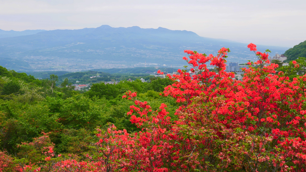 長峰公園