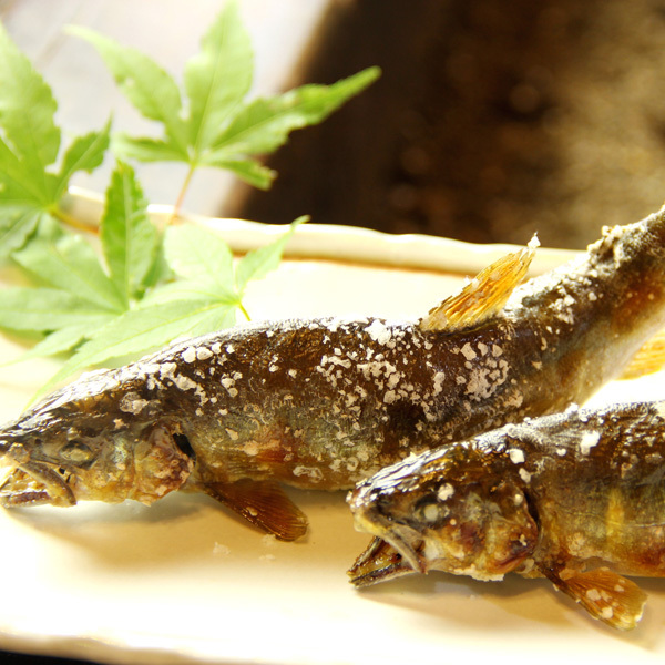 This photo about Kokutei Koen Ibikyo Ibigawa Kyuen shared on HyHotel.com