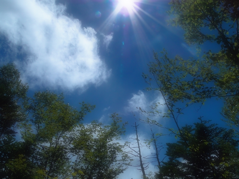 Summer clouds at Garden