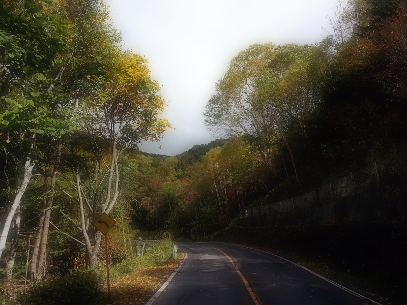 Venus Line Road in Fall