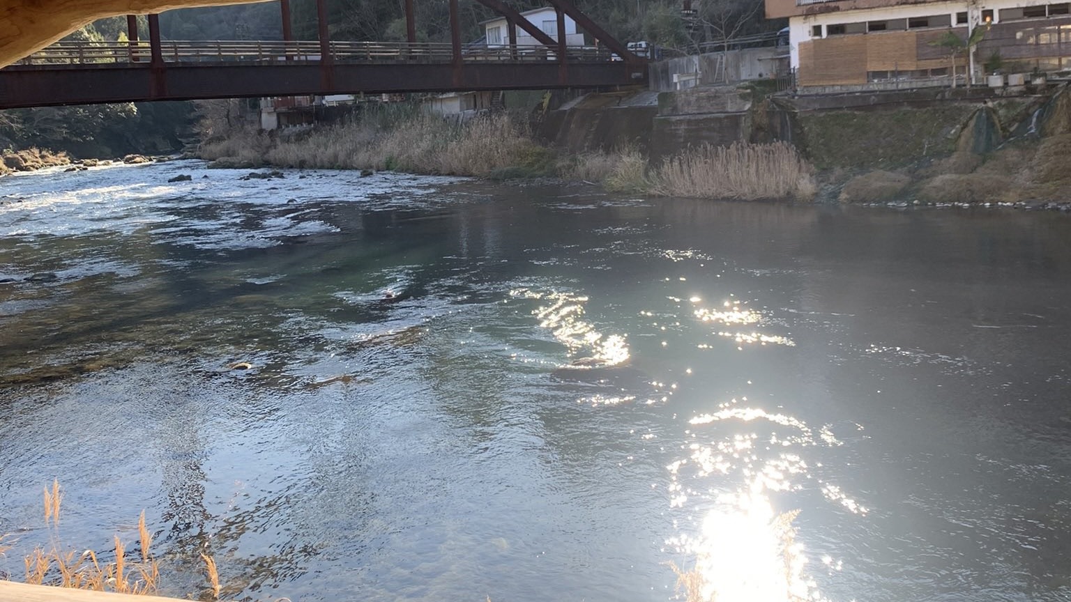 きず湯・胃腸湯からの長め（男湯）