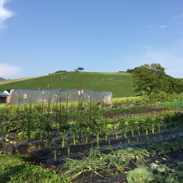 Pensione Kitamura Image 5, Toyooka, Japan