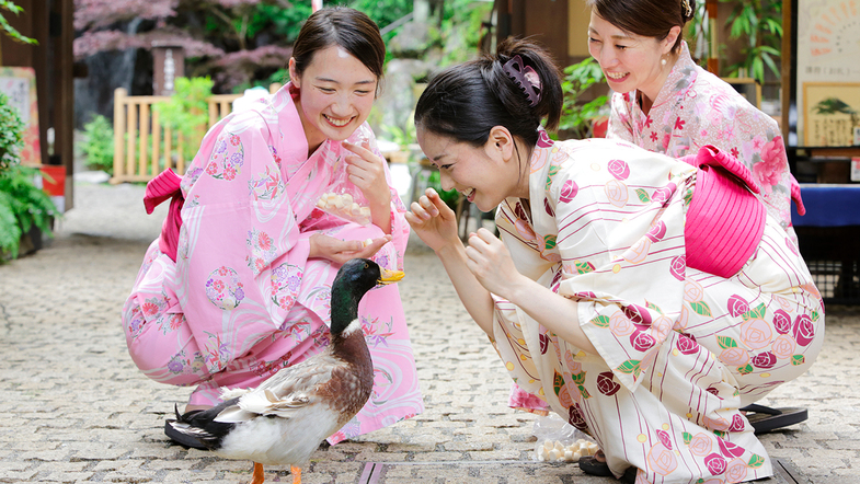 【庭園】庭園ではかわいいアヒルやカモがお出迎え！