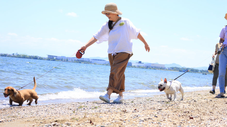 まの浜でご主人様もわんちゃんも湖水浴