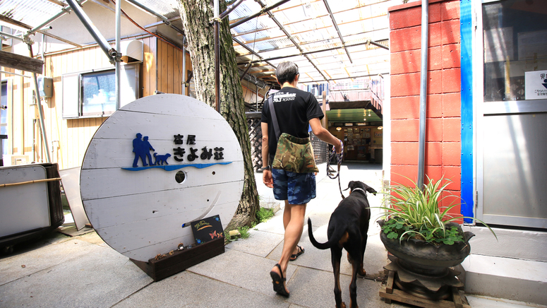 小型犬