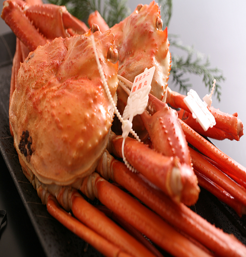 ボイル香住ガニ