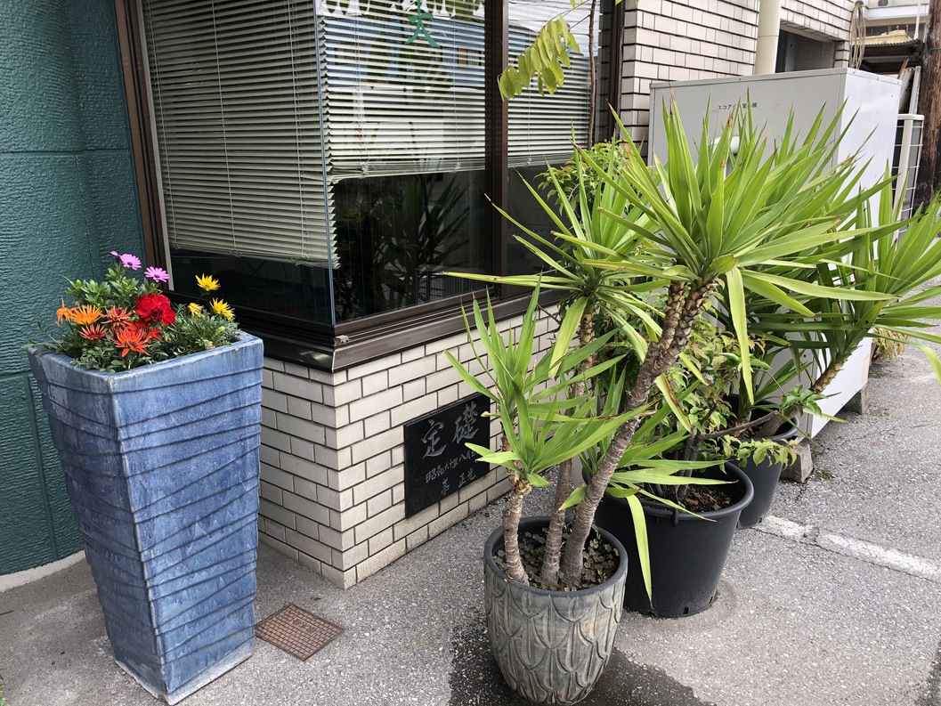【エントランス植栽】