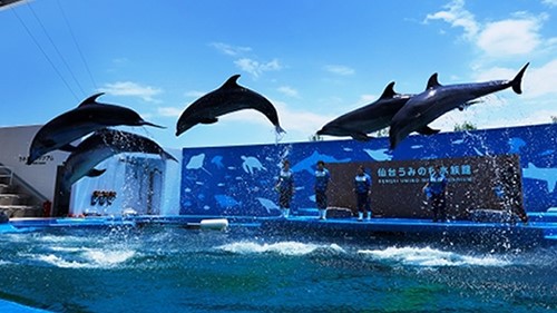 うみの杜水族館