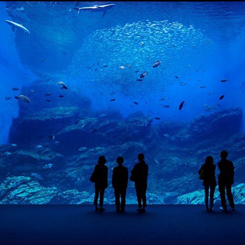 うみの杜水族館（大型水槽）