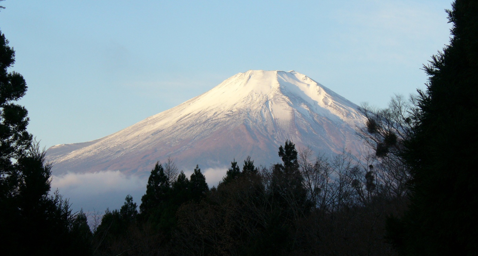 *ホテルから眺められる雄大な富士山
