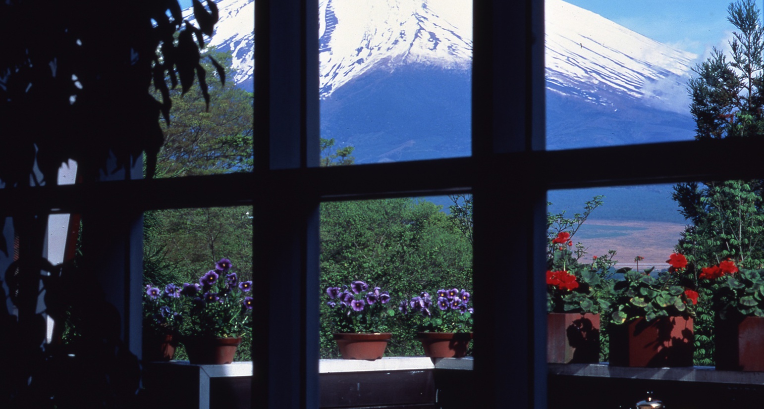 *レストランから見る富士山の眺め