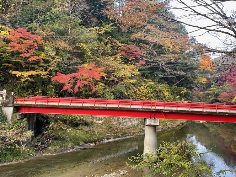 お部屋の窓から