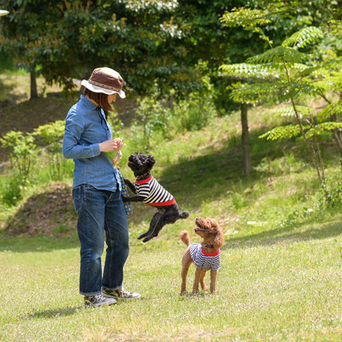 Aso Onsenyado Ogasawara Ideally located in the Aso area, Aso Onsenyado Ogasawara promises a relaxing and wonderful visit. Featuring a satisfying list of amenities, guests will find their stay at the property a comfortable on