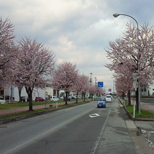 横手体育館前