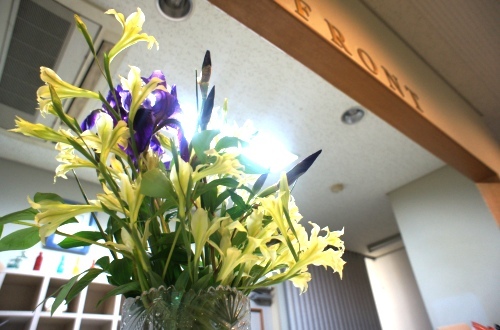 【お花】フロントに備えてあるお花です♪明るい気分でチェックイン&チェックアウト！