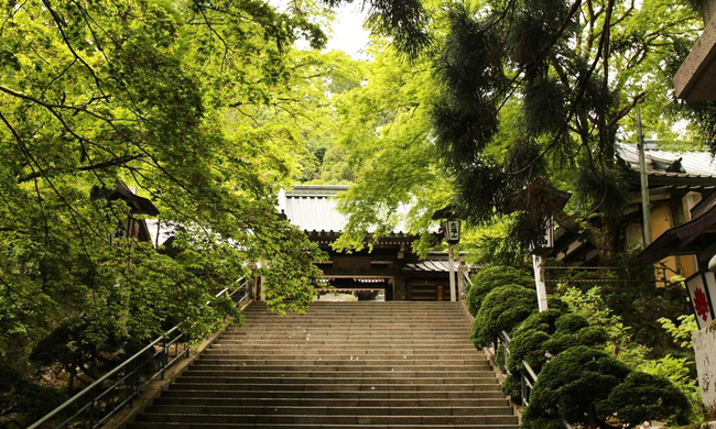 パワースポット【曹洞宗大雄山 最乗寺】