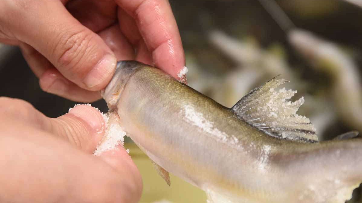 調理：食材／地元で採れる旬の川魚を丁寧に調理しています