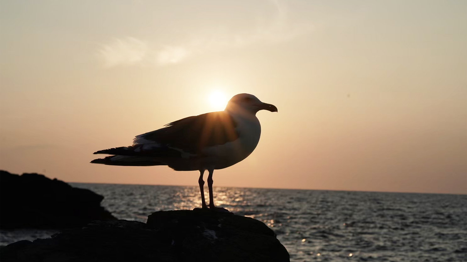 夕陽非日常の旅を留萌で