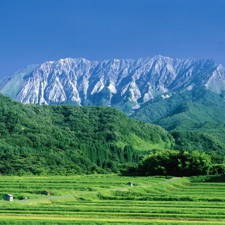 大山の春