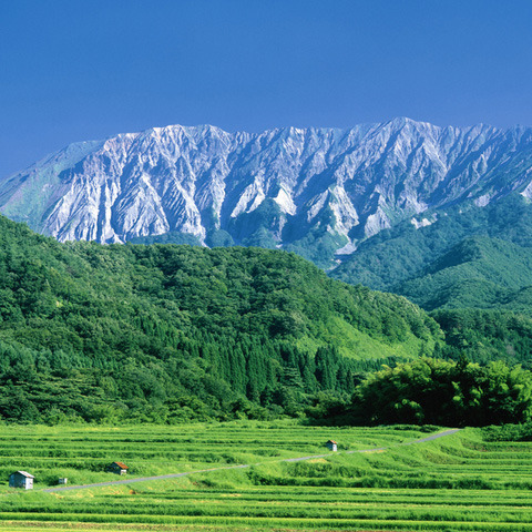 春の奥大山