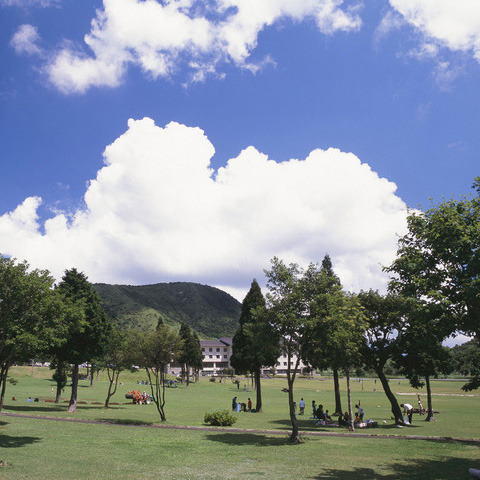 新緑の奥大山鏡ヶ成