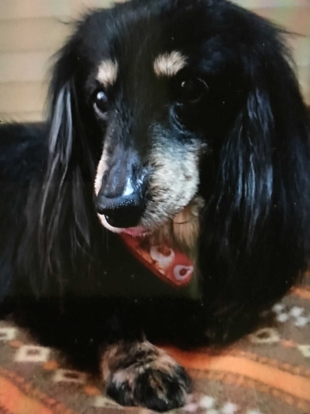 Asahiso (Gifu) Image 5, Tajimi, Japan