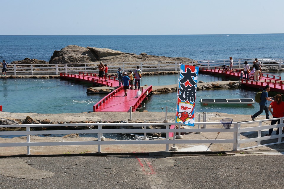 太海釣り堀センター