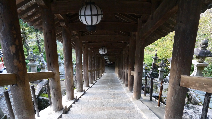 *【奈良・長谷寺の登廊】長谷寺の本堂まで続く、重要文化財。風雅な長谷型の灯籠を吊るしている。