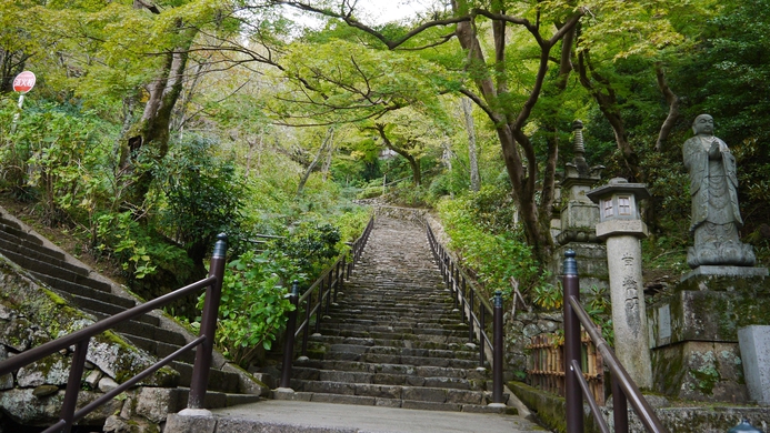 *【奈良・長谷寺の青もみじ】まだまだ緑色の青もみじでもうっとりするような美しさ。