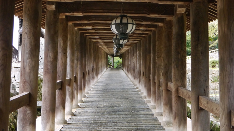*【奈良・長谷寺の登廊】長谷寺の本堂まで続く、重要文化財。風雅な長谷型の灯籠を吊るしている。