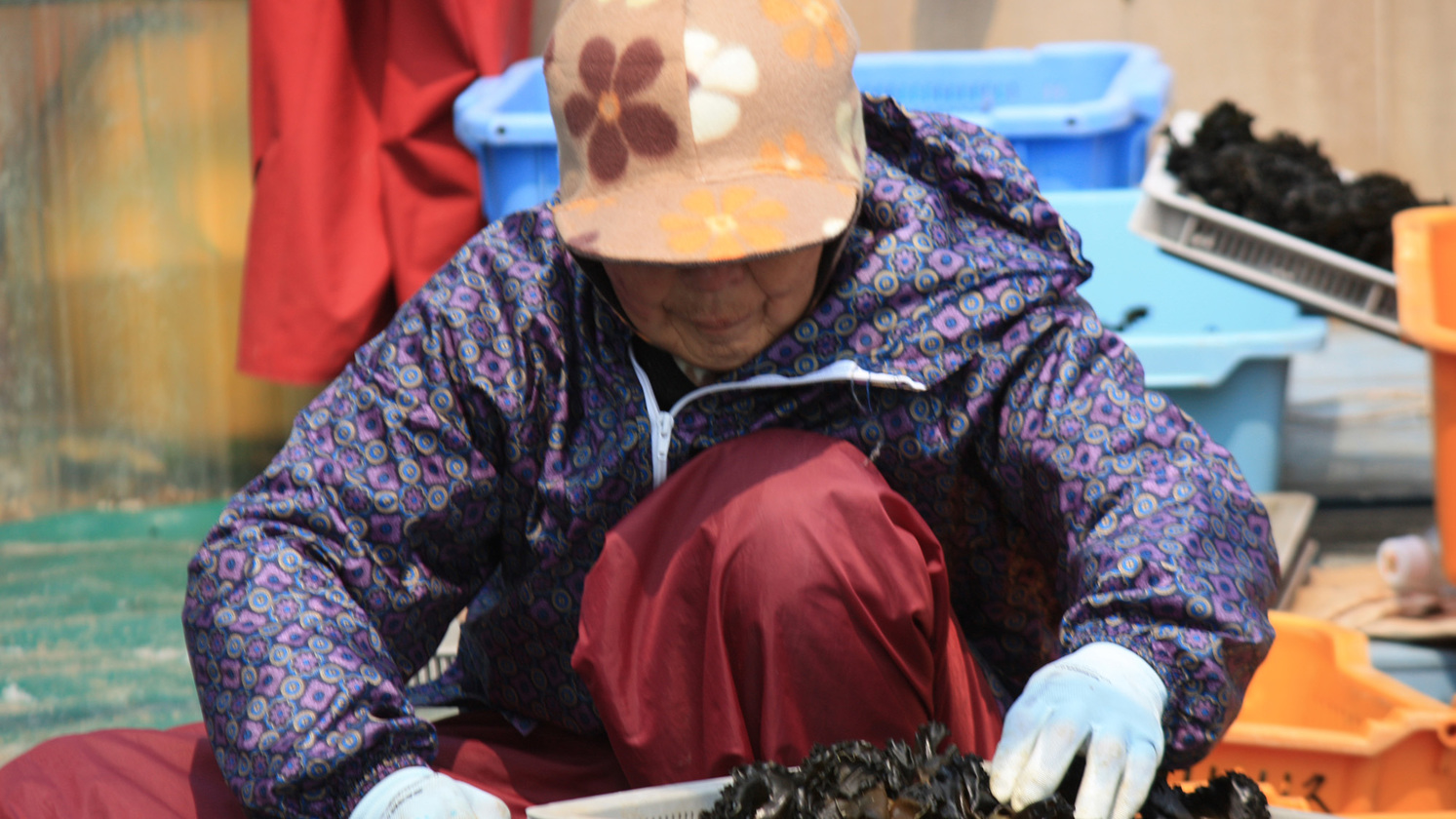 Yado Teiyou Image 3, Toba, Japan