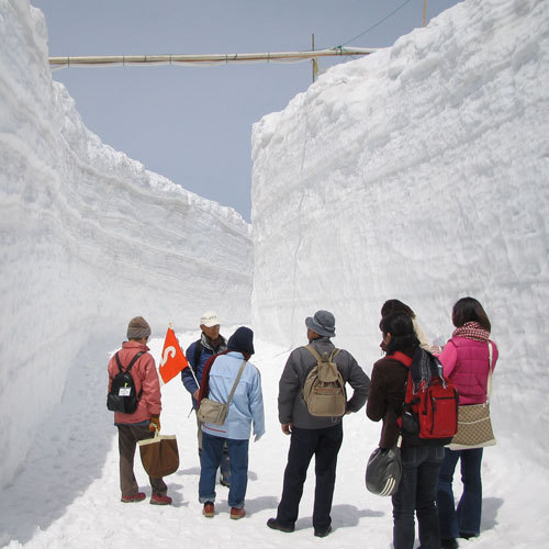 立山黒部アルペンルート【雪の回廊】