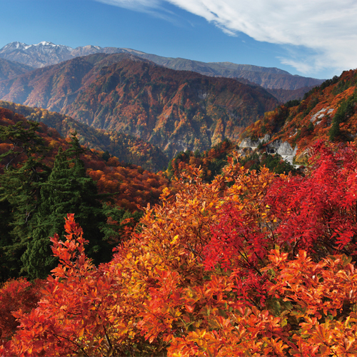 白山白川郷ホワイトロード（旧：白山スーパー林道）