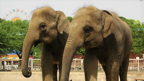 東山動植物園ホテルより地下鉄で20分