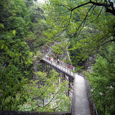 竜王峡ー橋。整備された道。もうダメな方はリターンを。
